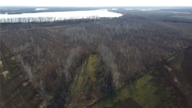 This diverse WRP tract along the Arkansas River is ready for new - photo 35