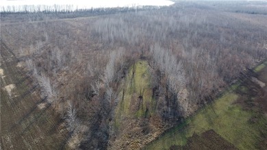 This diverse WRP tract along the Arkansas River is ready for new - photo 36