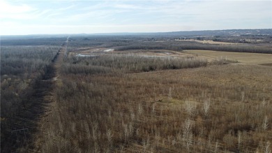 This diverse WRP tract along the Arkansas River is ready for new - photo 37