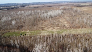 This diverse WRP tract along the Arkansas River is ready for new - photo 40