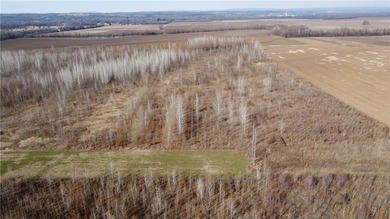 This diverse WRP tract along the Arkansas River is ready for new - photo 41