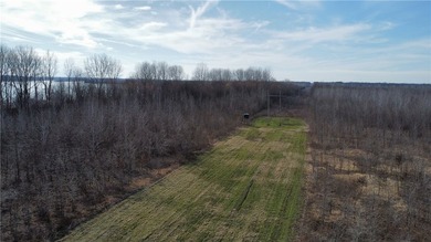This diverse WRP tract along the Arkansas River is ready for new - photo 42