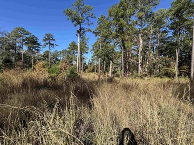 Lake Sam Rayburn  Lot For Sale in Brookeland Texas