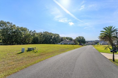 Myrtle Lake Lot Sale Pending in Fruitland Park Florida