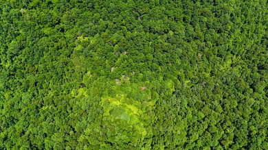 If you're looking for the perfect hunting property, this one - photo 13