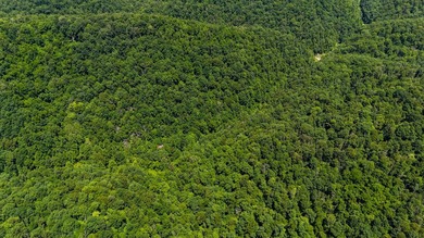 If you're looking for the perfect hunting property, this one - photo 15