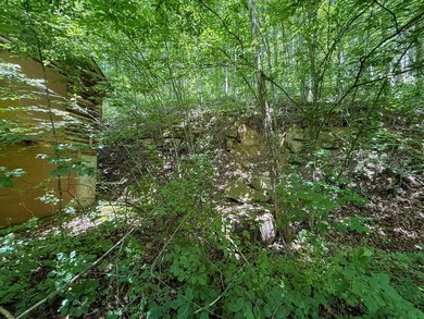 If you're looking for the perfect hunting property, this one - photo 20
