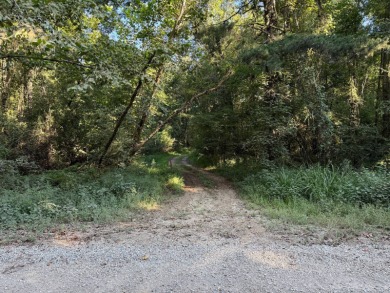 Located in Hickory, Mississippi, this premier 194+/- acre - photo 3