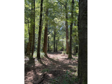 Located in Hickory, Mississippi, this premier 194+/- acre - photo 4
