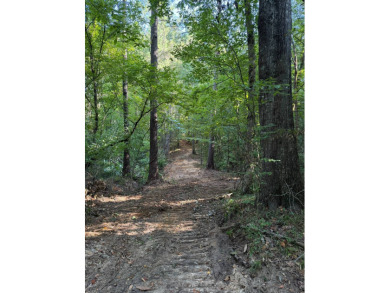 Located in Hickory, Mississippi, this premier 194+/- acre - photo 5
