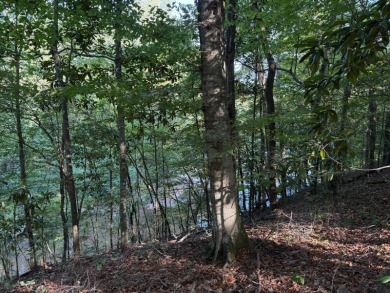 Located in Hickory, Mississippi, this premier 194+/- acre - photo 6