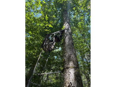 Located in Hickory, Mississippi, this premier 194+/- acre - photo 7