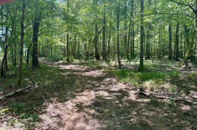 Located in Hickory, Mississippi, this premier 194+/- acre - photo 8