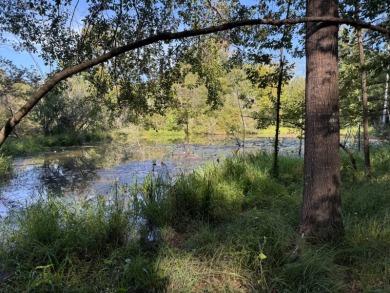 Located in Hickory, Mississippi, this premier 194+/- acre - photo 9