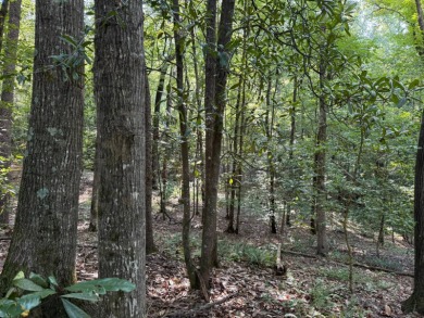 Located in Hickory, Mississippi, this premier 194+/- acre - photo 10