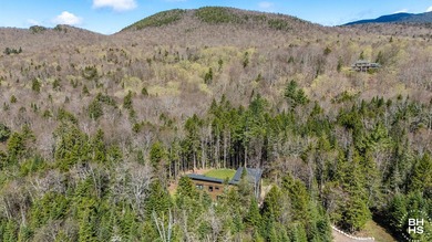 Tucked away in a beautiful private wooded setting, this - photo 44