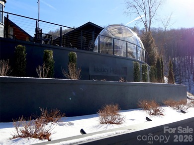 Discover your dream retreat in this beautifully updated home in - photo 47