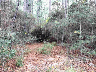 Lake Sam Rayburn  Lot For Sale in Brookeland Texas