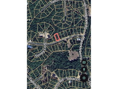 Lake Sam Rayburn  Lot For Sale in Brookeland Texas