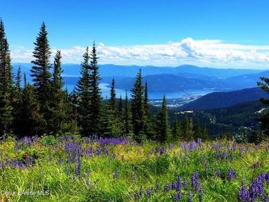 Located directly on the slopes of Schweitzer, this custom - photo 4