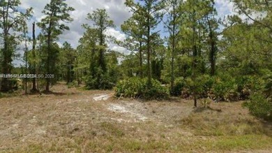 Lehigh Acres Area Lot For Sale in Lehigh Acres Florida