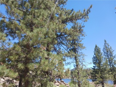 Lake Lot For Sale in Big Bear Lake, California