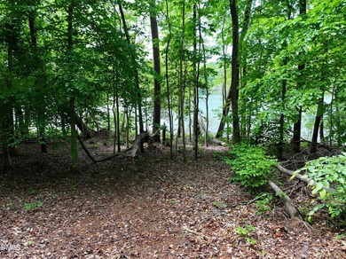 Hard to find 2.21 acre lot near Mayo Lake with improvements - photo 3