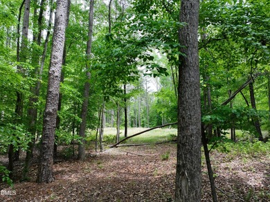 Hard to find 2.21 acre lot near Mayo Lake with improvements - photo 4