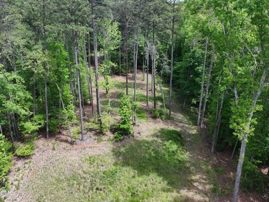 Hard to find 2.21 acre lot near Mayo Lake with improvements - photo 6