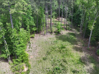 Hard to find 2.21 acre lot near Mayo Lake with improvements - photo 7