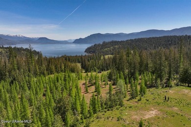 Estate Lot 16 at Camp Bay offers an extraordinary opportunity to - photo 5