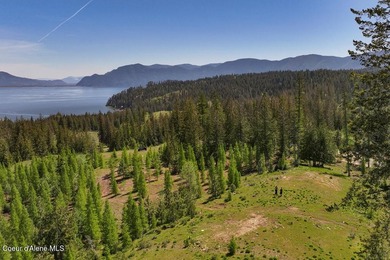 Estate Lot 16 at Camp Bay offers an extraordinary opportunity to - photo 7