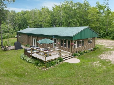 Lake Home For Sale in Bena, Minnesota