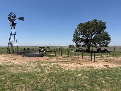 (private lake, pond, coastal) Acreage For Sale in Mobeetie Texas