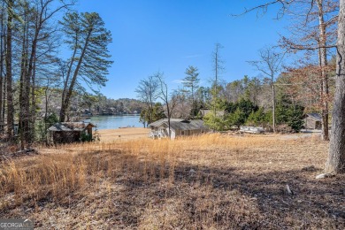 Lake Home For Sale in Tiger, Georgia