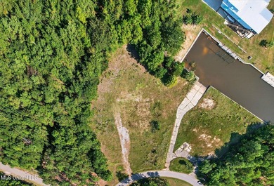 2 cleared lots on the South side of Diamondhead ready for you to - photo 11