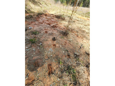 Introducing a stunning 22-acre tract cradled by the picturesque - photo 11