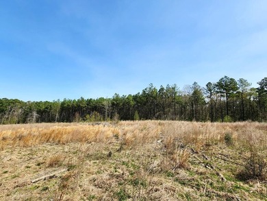 Introducing a stunning 22-acre tract cradled by the picturesque - photo 12