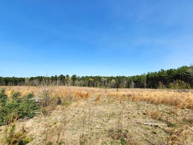 Introducing a stunning 22-acre tract cradled by the picturesque - photo 13
