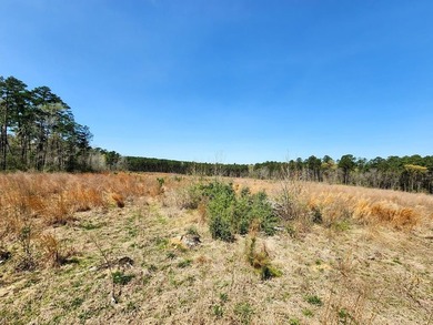 Introducing a stunning 22-acre tract cradled by the picturesque - photo 14