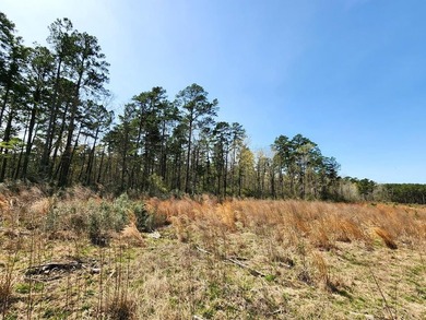 Introducing a stunning 22-acre tract cradled by the picturesque - photo 15