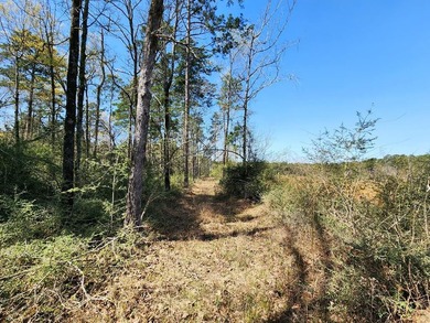 Introducing a stunning 22-acre tract cradled by the picturesque - photo 17