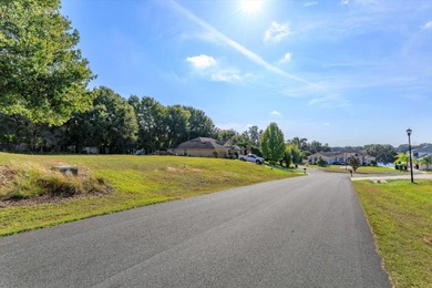 Myrtle Lake Lot Sale Pending in Fruitland Park Florida