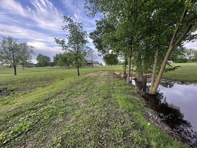 This well-maintained 3-bedroom, 3.5-bath ranch-style home offers - photo 50