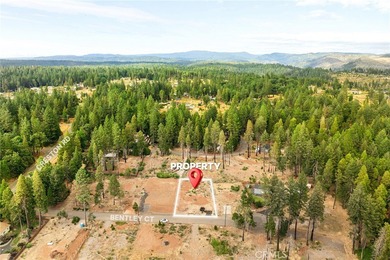 Magalia Lake  Lot For Sale in Magalia California