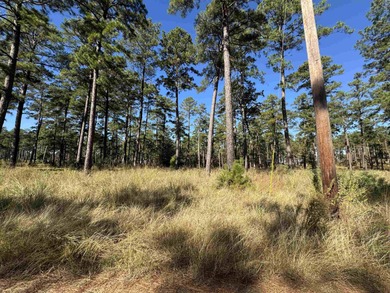 Lake Sam Rayburn  Lot For Sale in Brookeland Texas