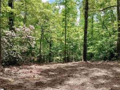 North Saluda Reservoir Lot For Sale in Travelers Rest South Carolina