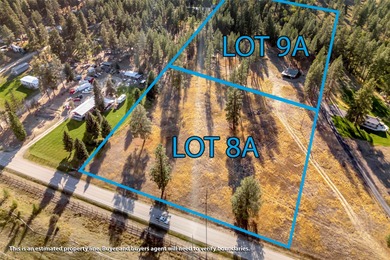 Bitterroot River Lot For Sale in Hamilton Montana