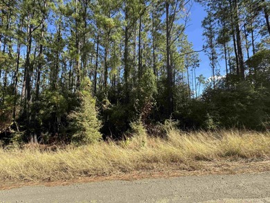 Lake Sam Rayburn  Lot For Sale in Brookeland Texas