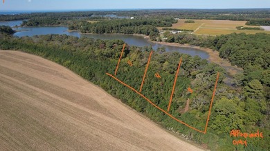 3 adjoining lots at *The Preserve at Old Plantation Creek* - photo 3